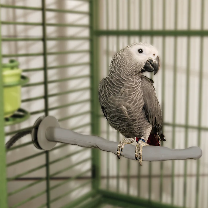 Bird pet supplies Sales 29 Bird pet supplies Sales -Bird pet supplies Sales