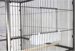 A&E Cage Company Flight Bird Cage With Stand - Black - 31 X 20 In 16 A&E Cage Company Flight Bird Cage With Stand - Black - 31 X 20 In -Bird pet supplies Sales ae cage company flight bird cage with stand black 31 x 20 in 294564