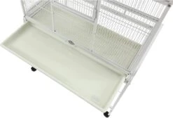 A&E Cage Company Flight Bird Cage With Stand - White - 31 X 20 In -Bird pet supplies Sales ae cage company flight bird cage with stand white 31 x 20 in 741987