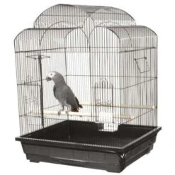 A&E Cage Company Victorian Bird Cage - Black - 25 X 21 In - 2 Pack