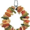 A&E Cage Happy Beaks Deluxe Fruit Ring Bird Toy - 6 X 6 X 1 In -Bird pet supplies Sales ae cage happy beaks deluxe fruit ring bird toy 6 x 6 x 1 in 524122