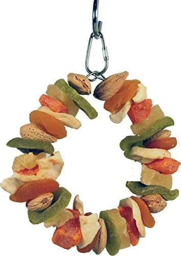 A&E Cage Happy Beaks Deluxe Fruit Ring Bird Toy - 6 X 6 X 1 In 5 A&E Cage Happy Beaks Deluxe Fruit Ring Bird Toy - 6 X 6 X 1 In -Bird pet supplies Sales ae cage happy beaks deluxe fruit ring bird toy 6 x 6 x 1 in 524122