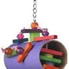 A&E Cage Happy Beaks Foraging Bird Toy - 9.5 X 6 In 2 A&E Cage Happy Beaks Foraging Bird Toy - 9.5 X 6 In -Bird pet supplies Sales ae cage happy beaks foraging bird toy 95 x 6 in 189088
