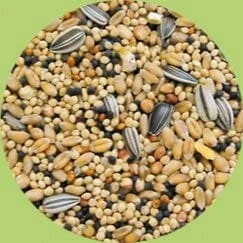 A&E Cage Happy Beaks Wooden Spoon With Bagels Blocks & Beads Bird Toy - 19 X 5 X 2 In