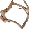 A&E Java Wood Multi-Branch Bird Perch - Extra Small