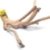 A&E Java Wood Multi-Branch Bird Perch - Large 2 A&E Java Wood Multi-Branch Bird Perch - Large -Bird pet supplies Sales ae java wood multi branch bird perch large 535084