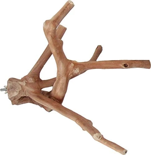 A&E Java Wood Multi-Branch Bird Perch - Medium 3 A&E Java Wood Multi-Branch Bird Perch - Medium