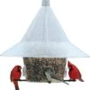 Arundale Mandarin Squirrel Proof Platform Wild Bird Feeder - Clear - 7 Lbs Cap 2 Arundale Mandarin Squirrel Proof Platform Wild Bird Feeder - Clear - 7 Lbs Cap -Bird pet supplies Sales arundale mandarin squirrel proof platform wild bird feeder clear 7 lbs cap 562053