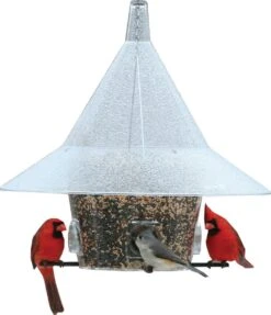 Arundale Mandarin Squirrel Proof Platform Wild Bird Feeder - Clear - 7 Lbs Cap