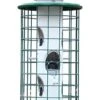 Audubon Avian Series Caged Mixed Seed Haven Wild Bird Feeder - Green - 4.5 Lbs Cap 1 Audubon Avian Series Caged Mixed Seed Haven Wild Bird Feeder - Green - 4.5 Lbs Cap -Bird pet supplies Sales audubon avian series caged mixed seed haven wild bird feeder green 45 lbs cap 612463