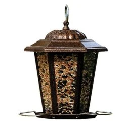 Audubon Carriage Lantern Wild Bird Feeder - Copper - 1.5 Lbs Cap