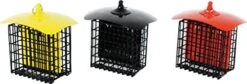 Audubon Double Suet Feeder With Weather Shield Wild Bird Feeder - Assorted - 5.25 X 7 X 7.5 In