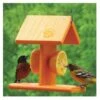Audubon Going Green Deluxe Oriole Feeder - Orange - 12 X 8.25 X 8.2 In -Bird pet supplies Sales audubon going green deluxe oriole feeder orange 12 x 825 x 82 in 406991