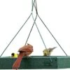 Audubon Going Green Platform Wild Bird Feeder - Green - 12.75 X 12.75 X 2.5 2 Audubon Going Green Platform Wild Bird Feeder - Green - 12.75 X 12.75 X 2.5 -Bird pet supplies Sales audubon going green platform wild bird feeder green 1275 x 1275 x 25 534442