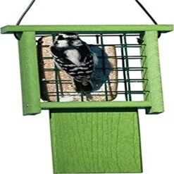 Audubon Going Green Tail-Prop Suet And Seed Cake Wild Bird Feeder - Green - 1 Cake Cap