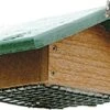 Audubon Going Green Upside Down Suet Wild Bird Feeder - Tan And Green - 2 Cake Cap -Bird pet supplies Sales audubon going green upside down suet wild bird feeder tan and green 2 cake cap 238979