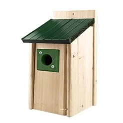 Audubon Lake & Cabin Bluebird House With Predator Guard - Green