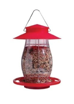 Audubon Lantern Wild Bird Feeder - Red - 4 Lbs Cap