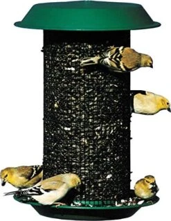 Audubon Magnum Plastic Sunflower Screen Wild Bird Feeder - Green - 3 Lbs Cap