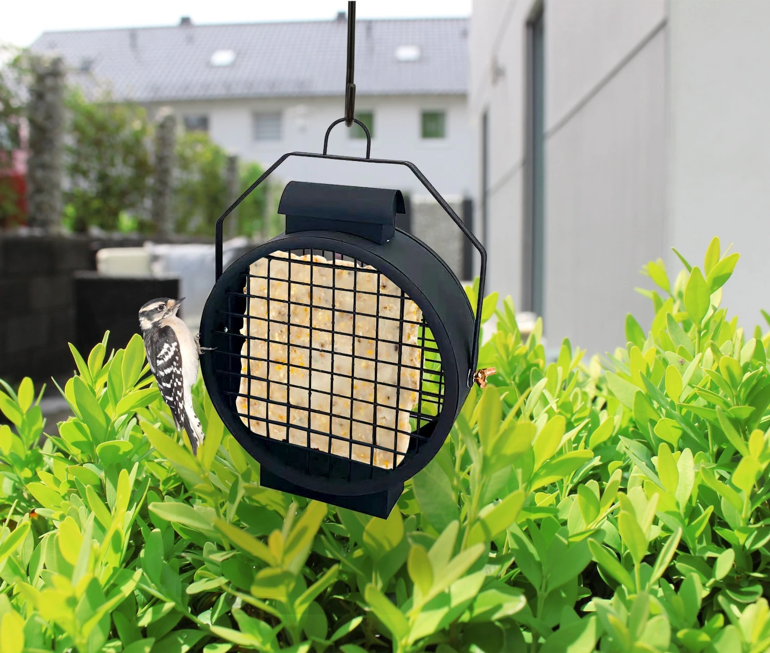 Audubon MF Lighthouse Lantern Suet Cake Wild Bird Feeder - Black - 1 Cake Cap 3 Audubon MF Lighthouse Lantern Suet Cake Wild Bird Feeder - Black - 1 Cake Cap