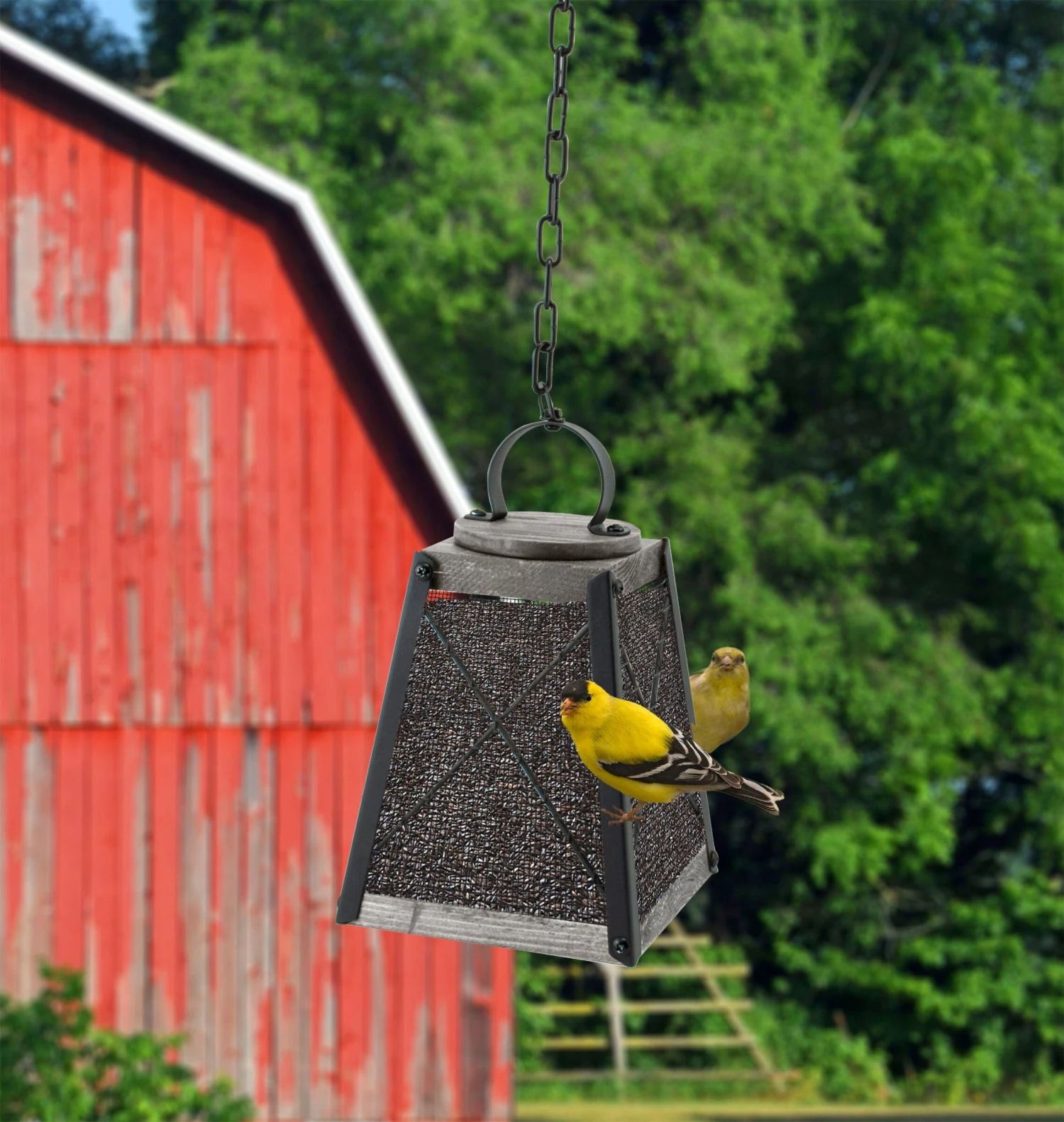 Audubon MF Wood & Mesh Mill Nyjer Thistle Seed Wild Bird Feeder - Black And Gray - 1.3 Oz Cap 3 Audubon MF Wood & Mesh Mill Nyjer Thistle Seed Wild Bird Feeder - Black And Gray - 1.3 Oz Cap