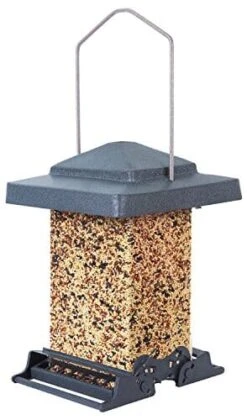 Audubon Vista Squirrel-Resistant And Metal Wild Bird Feeder - Green - 6 Lbs Cap