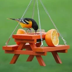 Backyard Essentials Oriole Picnic Table Feeder - Orange
