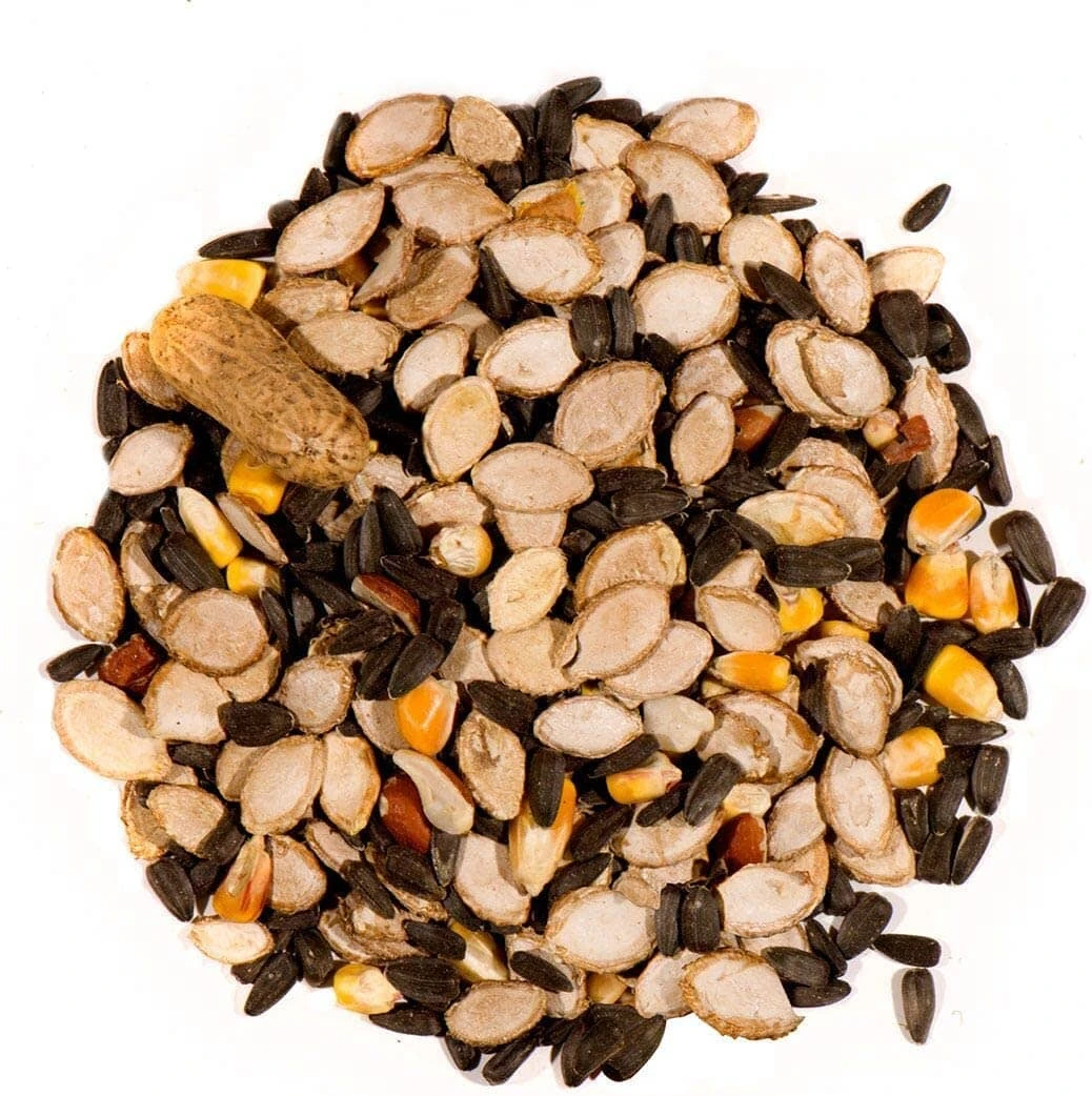 Chuckanut Backyard All Natural Wildlife Blend - 10 Lbs 5 Chuckanut Backyard All Natural Wildlife Blend - 10 Lbs - Image 3