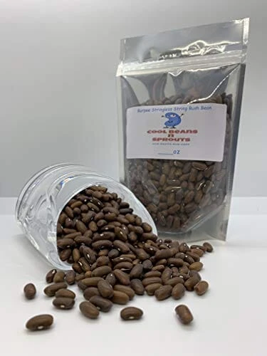 C&S Seed Treat Pictorial Label Suet Cakes Wild Bird Food - 11 Oz - 12 Pack 3 C&S Seed Treat Pictorial Label Suet Cakes Wild Bird Food - 11 Oz - 12 Pack