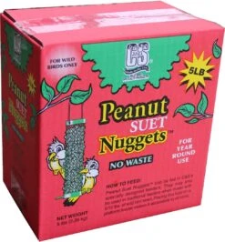 C&S Suet Nuggets Wild Bird Food - Peanut - 5 Lbs
