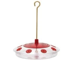 Droll Yankees Happy Eight 2 Hummingbird Feeder - Red - 1 Qt Cap