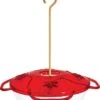 Droll Yankees Little Flyer 4 Hummingbird Feeder - Red - 1 Qt Cap 2 Droll Yankees Little Flyer 4 Hummingbird Feeder - Red - 1 Qt Cap -Bird pet supplies Sales droll yankees little flyer 4 hummingbird feeder red 1 qt cap 701124