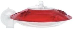 Droll Yankees Window Hummer 3 Hummingbird Feeder - Red - 6 Oz Cap