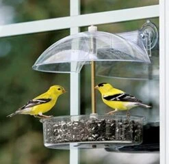 Droll Yankees Winner Window Seed Wild Bird Feeder - Clear - .5 Lbs Cap