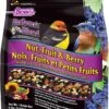 F.M. Brown's Bird Lover's Blend Extreme Fruit, Nut & Berry Seeds Wild Bird Food - 5 Lb Bag
