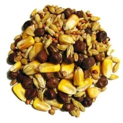 F.M. Brown's Pigeon Maintenance Small Corn Bird Food - 50 Lb Bag