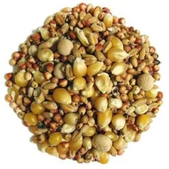 F.M. Brown's Pigeon Thrifty Small Corn Bird Food - 50 Lb Bag