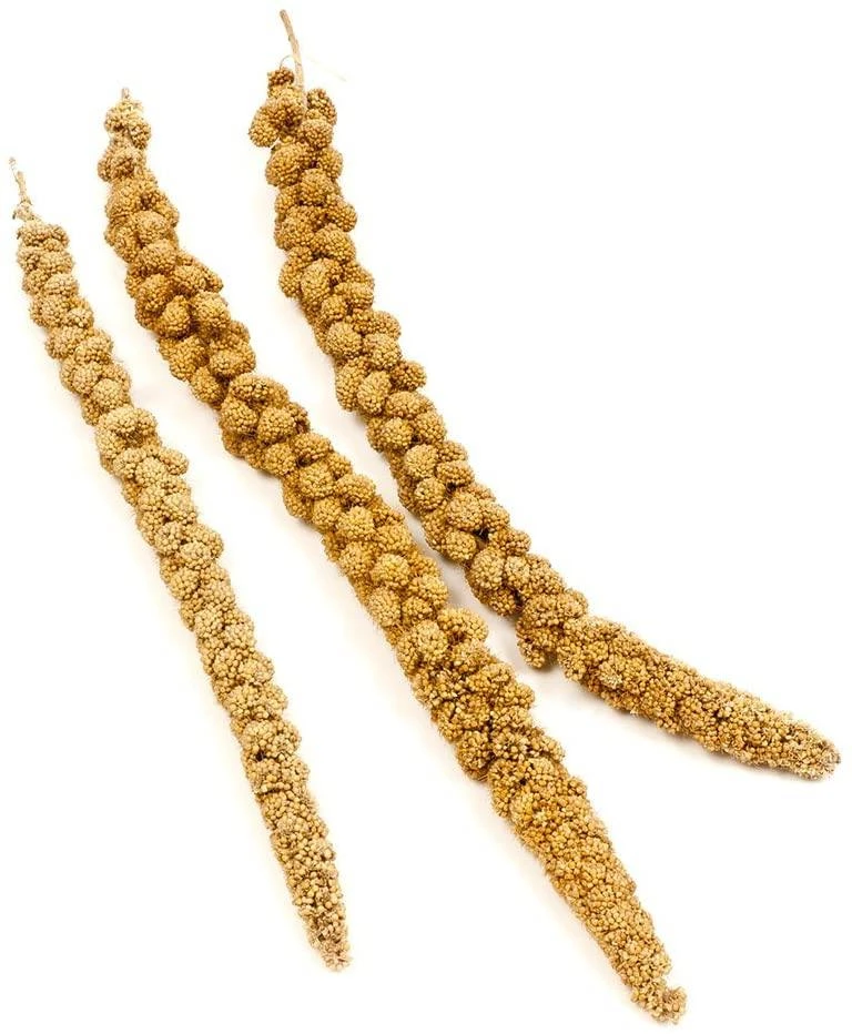 F.M. Brown's Super Premium Golden California Millet Sprays 2 Bird Treats - 320 Count 3 F.M. Brown's Super Premium Golden California Millet Sprays 2 Bird Treats - 320 Count