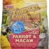 F.M. Brown's Tropical Carnival Chunky Caribbean Spice Parrot/Macaw Bird Food - 5 Lb Bag 1 F.M. Brown's Tropical Carnival Chunky Caribbean Spice Parrot/Macaw Bird Food - 5 Lb Bag -Bird pet supplies Sales fm browns tropical carnival chunky caribbean spice parrotmacaw bird food 5 lb bag 305192