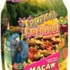 F.M. Brown's Tropical Carnival Macaw Big Bites Bird Food - 14 Lb Bag -Bird pet supplies Sales fm browns tropical carnival macaw big bites bird food 14 lb bag 253552