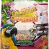 F.M. Brown's Zoo-Vital Tropical Carnival Daily Diet Parrot & Macaw Bird Food - 3 Lb Bag -Bird pet supplies Sales fm browns zoo vital tropical carnival daily diet parrot macaw bird food 3 lb bag 712344