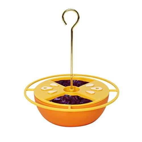 Heath Citrus Buffet Oriole Feeder - Orange - 6 Oz 3 Heath Citrus Buffet Oriole Feeder - Orange - 6 Oz
