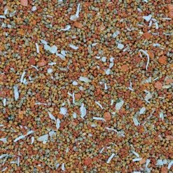 Higgins Intune Natural Harmony Canary And Finch Bird Food - 2 Lbs 8 Higgins Intune Natural Harmony Canary And Finch Bird Food - 2 Lbs -Bird pet supplies Sales higgins intune natural harmony canary and finch bird food 2 lbs 176032