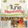 Higgins Intune Natural Harmony Conure And Cockatiel Bird Food - 2 Lbs -Bird pet supplies Sales higgins intune natural harmony conure and cockatiel bird food 2 lbs 824896