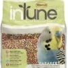 Higgins Intune Natural Parakeet Bird Food - 2 Lbs 2 Higgins Intune Natural Parakeet Bird Food - 2 Lbs -Bird pet supplies Sales higgins intune natural parakeet bird food 2 lbs 249773