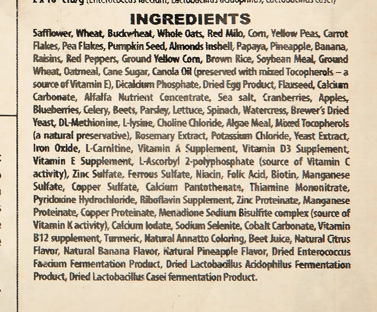 Higgins Nederlands Vita Seed Vita California Blend Parrot Bird Food - 25 Lbs 6 Higgins Nederlands Vita Seed Vita California Blend Parrot Bird Food - 25 Lbs - Image 4