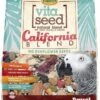Higgins Nederlands Vita Seed Vita California Blend Parrot Bird Food - 5 Lbs -Bird pet supplies Sales higgins nederlands vita seed vita california blend parrot bird food 5 lbs 233905
