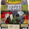Higgins Sunburst Gourmet Fruit To Nuts Bird Treats - 20 Lbs