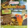 Higgins VL Goldenfeast C.American Bird Food - 3 Lbs 1 Higgins VL Goldenfeast C.American Bird Food - 3 Lbs -Bird pet supplies Sales higgins vl goldenfeast camerican bird food 3 lbs 883554