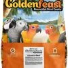 Higgins VL Goldenfeast Indonesian Bird Food - 17.5 Lbs